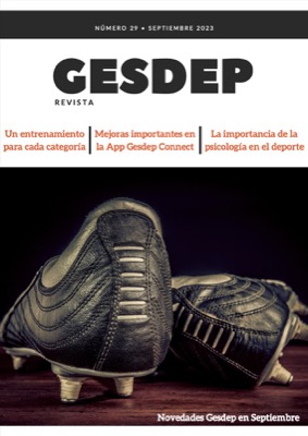 Revista 29